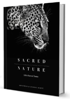 sacred-nature-cover-by-angela-scott-in-kenya-ray-johnstons-friend-09-29-16-144x205